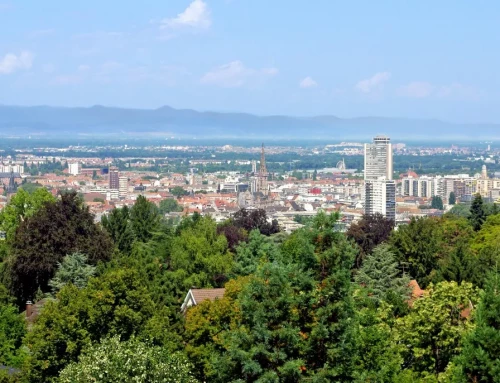Le quartier du Rebberg à Mulhouse : histoire, patrimoine et immobilier d’exception